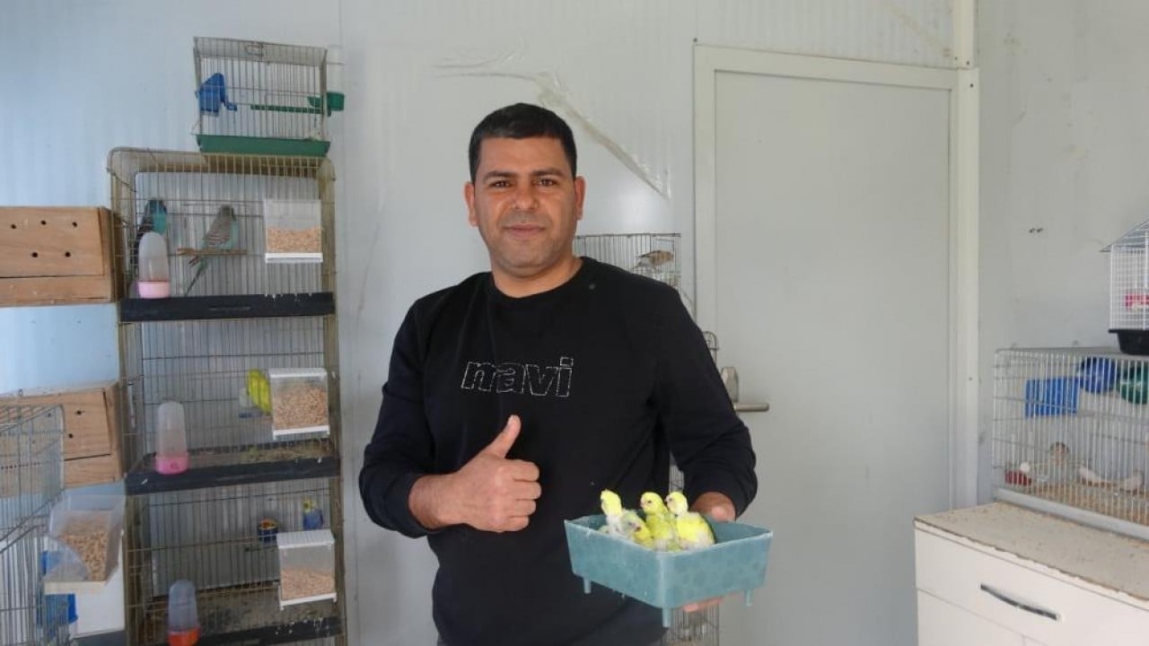 Foto - 30 yıldır kuşlarından vazgeçmiyor
