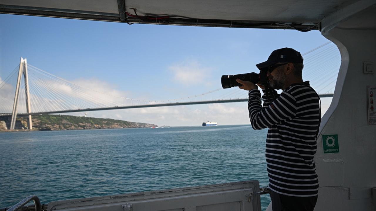 Foto - 30 yıldır takip altındalar! Bunlarda İstanbul Boğazı'nın yunusları 