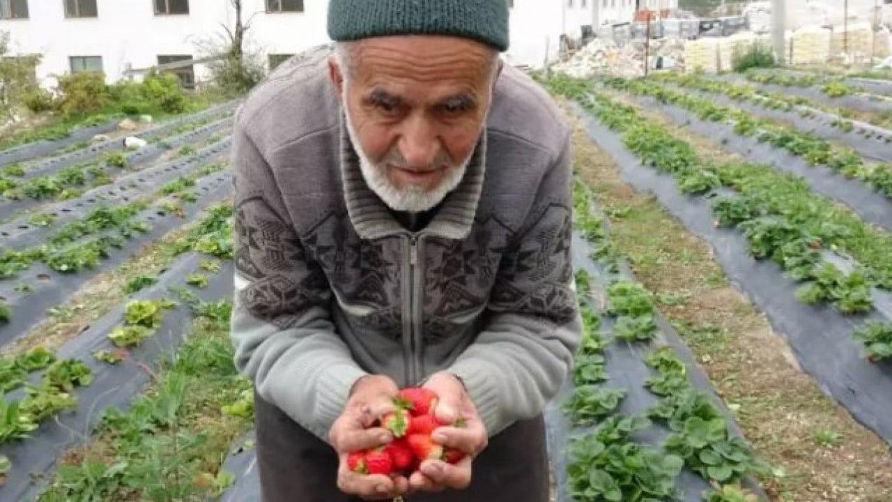 Foto - 30 yıldır ürettiklerini bedava dağıtıyor: 'Hayır duası almak bana yetiyor!'