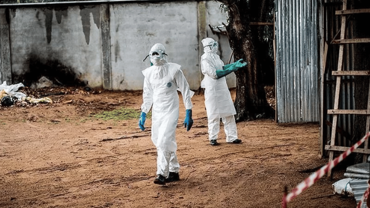 300 binden fazla vaka 7 binden fazla ölüm! 25 yıldır böyle salgın görülmedi