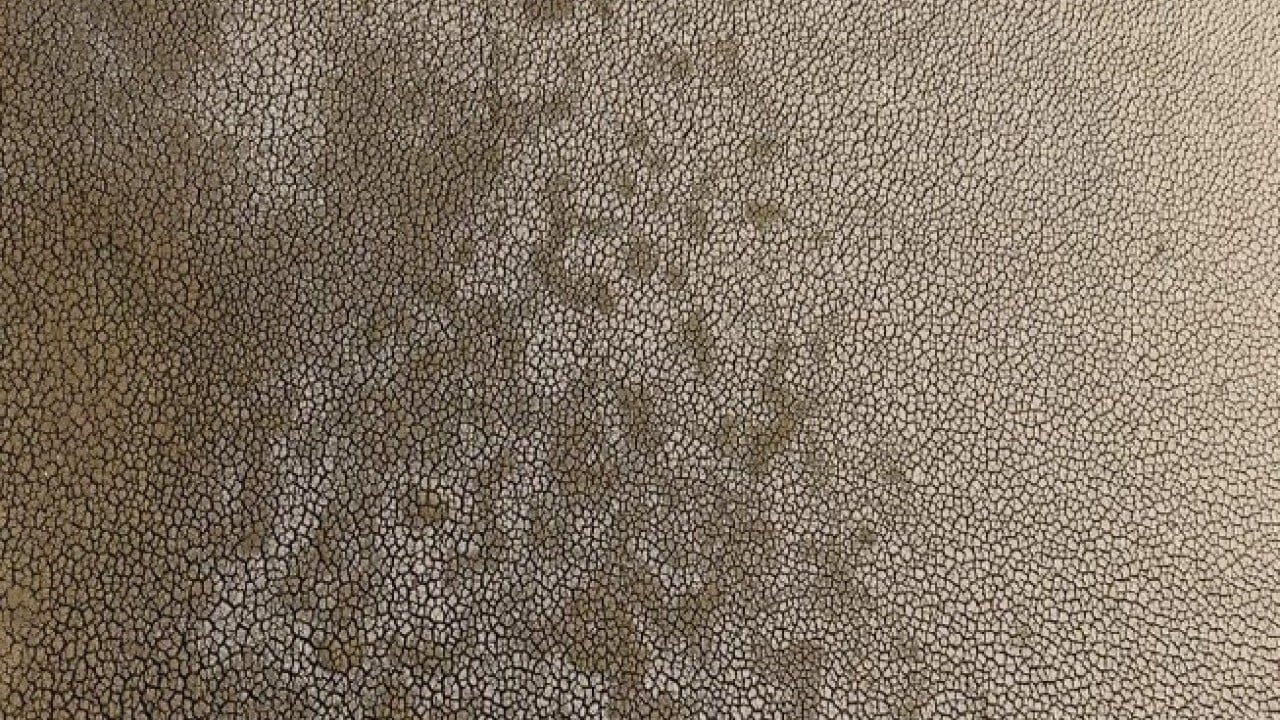 Foto - 300 metre birden çekildi! Uzmanlar uyardı; 