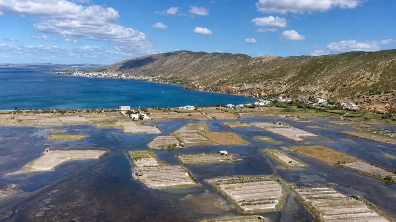 Foto - 300 yıldır denizin ortasında patates yetiştirerek imkansızı başarıyorlar 