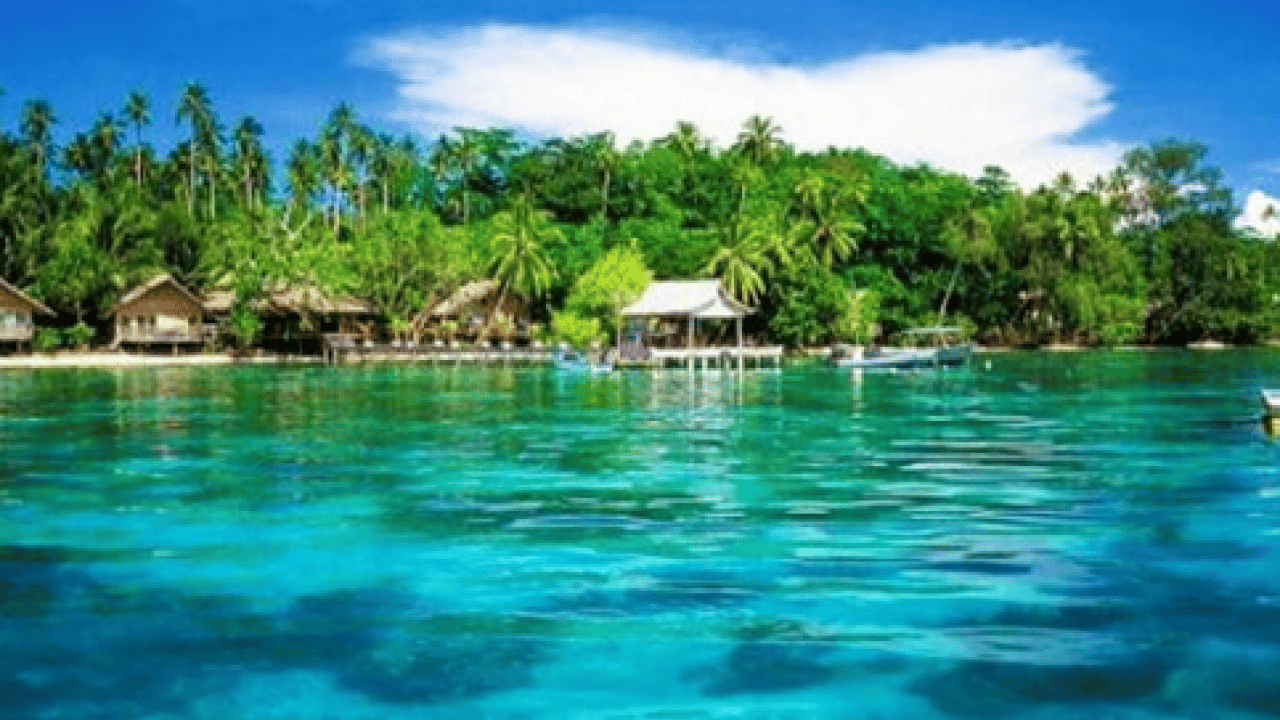 Foto - 300 yıllık büyük bir yaratık keşfedildi! Dünyanın en büyük ve en yaşlı canlısı! Yeni bir dönem başlıyor 