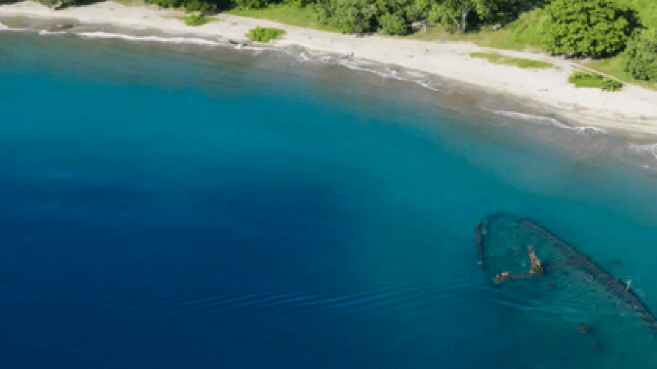 Foto - 300 yıllık büyük bir yaratık keşfedildi! Dünyanın en büyük ve en yaşlı canlısı! Yeni bir dönem başlıyor 