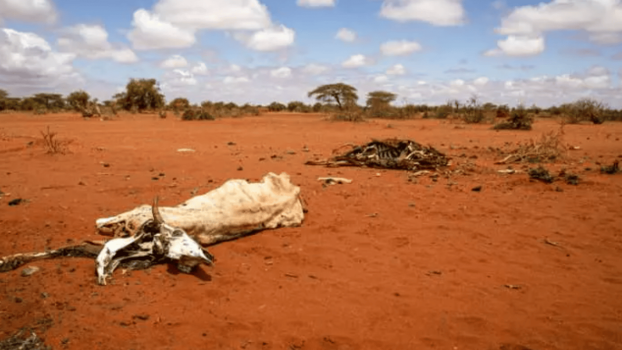 Foto - 33 ülke için felaket senaryosu! Türkiye 27'nci sırada yer aldı!