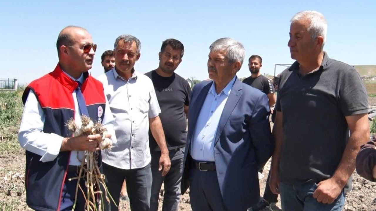 Foto - 350 tonla hızlı giriş yaptı Sarımsakta 'ben de varım' dedi