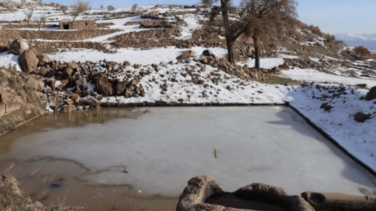 Foto - 37 yıl önce taşındılar! Geri döndüklerinde ortaya çıkan manzara şoke etti