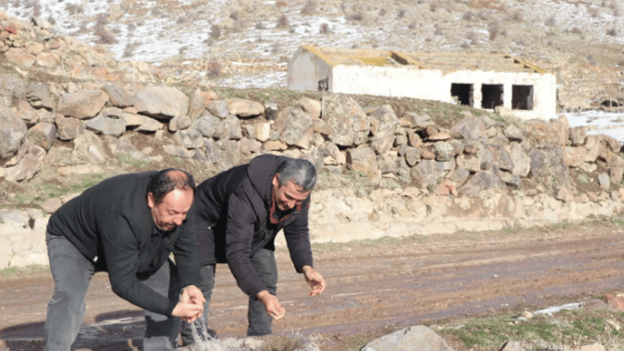 Foto - 37 yıl önce taşındılar! Geri döndüklerinde ortaya çıkan manzara şoke etti