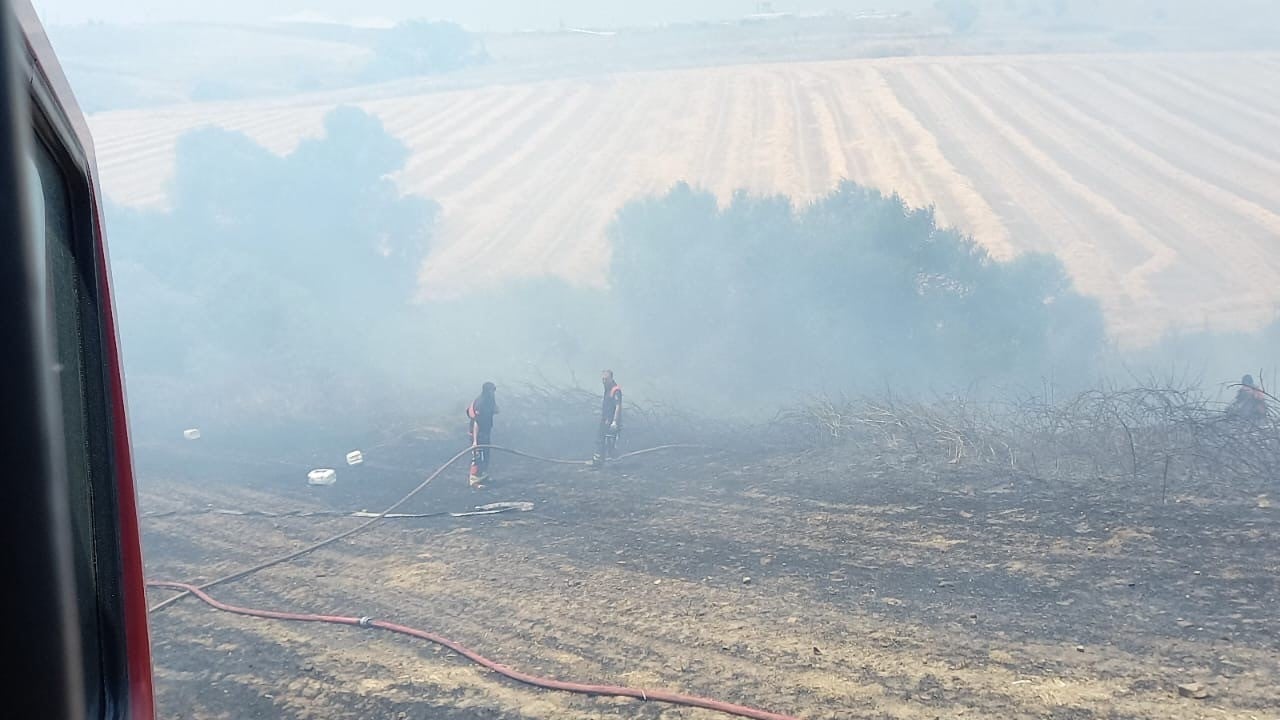 Foto - 4 ayrı noktada alevler yayılmıştı! Bandırma'dan haber var