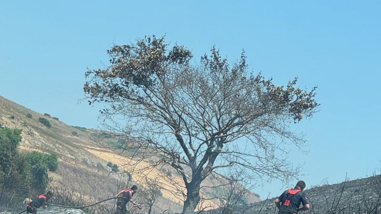 Foto - 4 ayrı noktada alevler yayılmıştı! Bandırma'dan haber var