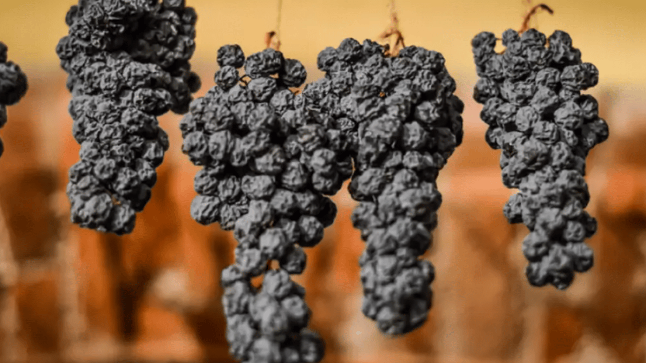 Foto - 4 bin 500 yıllık kurutulmuş meyve bulundu! 77 yıl sonra ortaya çıktı!