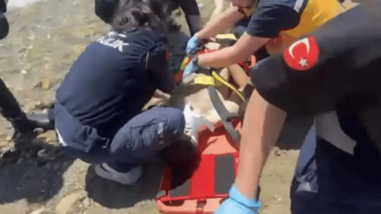 Foto - 40 metre açıkta bulundu! 17 yaşındaki gencin acı sonu!