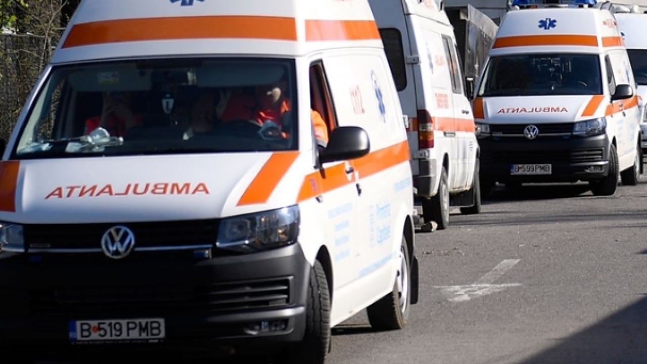 Foto - 40 yıl sonra ilk kez: 2 Avrupa ülkesinde görüldü!