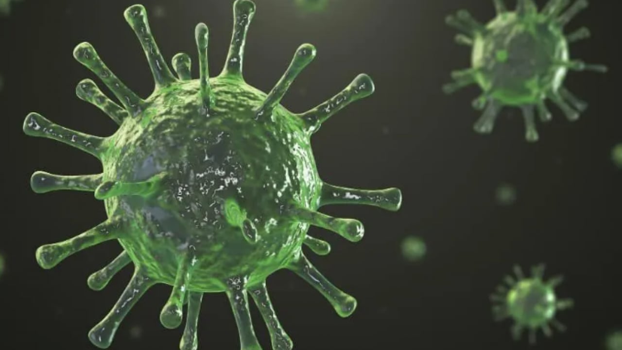 Foto - 40 yıl sonra ilk kez: 2 Avrupa ülkesinde görüldü!