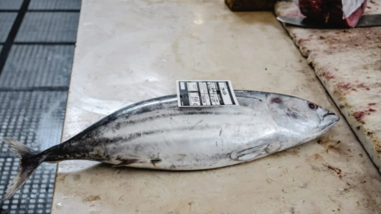 Foto - 40 yıl sonra raflara döndü: Fiyatlar yarı yarıya düştü!