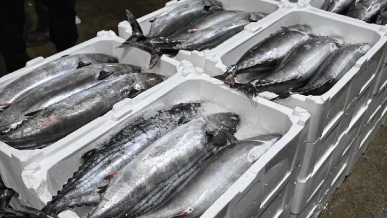 Foto - 40 yıl sonra raflara döndü: Fiyatlar yarı yarıya düştü!