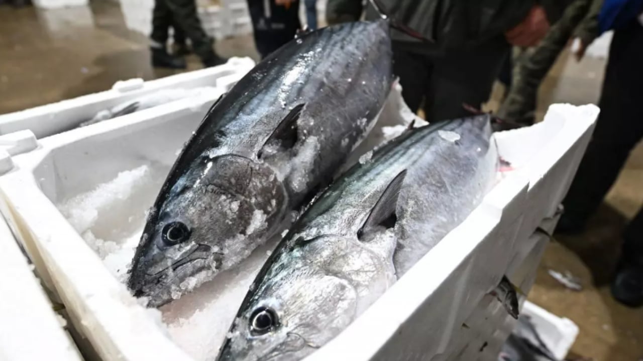 40 yıl sonra raflara döndü: Fiyatlar yarı yarıya düştü!