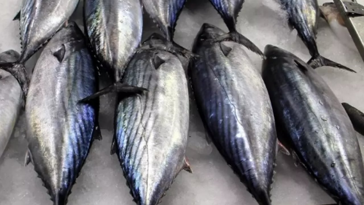 Foto - 40 yıl sonra raflara döndü: Fiyatlar yarı yarıya düştü!