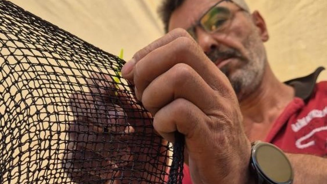 Foto - 40 yıllık balıkçıdan müjde Denizlerde patlama yaşanacak