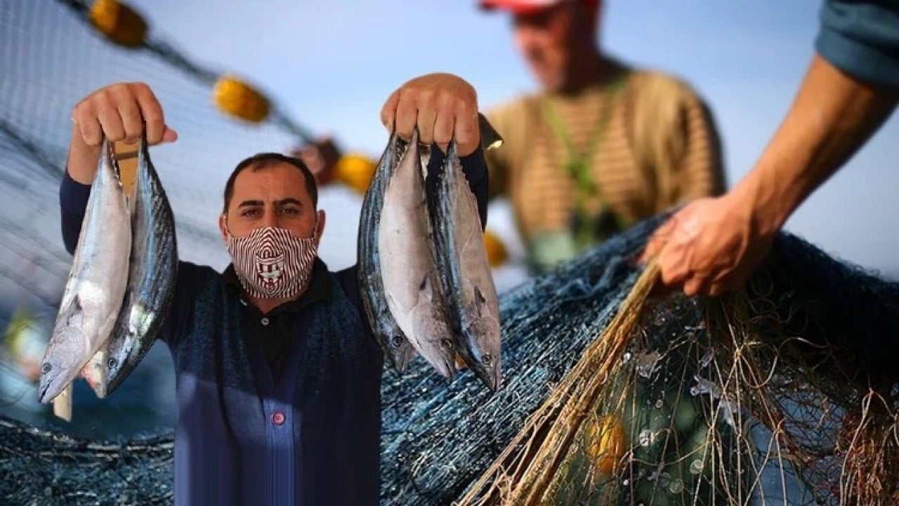40 yıllık balıkçıdan müjde Denizlerde patlama yaşanacak
