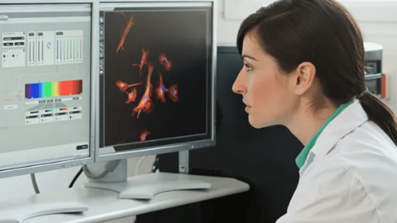 44 ve 60'a dikkat... Yaşlanmanın gizli eşikleri bulundu! Sağlık için kritik 2 dönem…