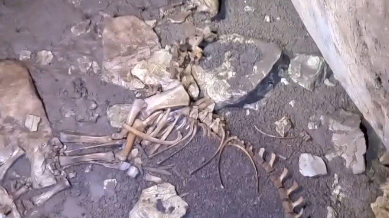 Foto - 45 metre aşağıda çürümüş halde bulundu! Mağaranın dibinde akılalmaz görüntü