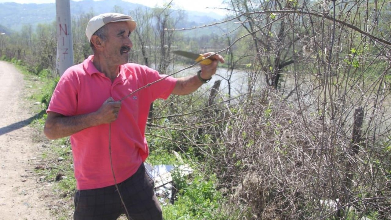 Foto - 45 Yıldır dağdan topluyor ilmek ilmek örüyor