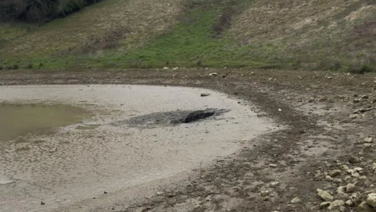 Foto - 46 yıl sonra gün yüzüne çıktı! Mahalleyi panikleten olay