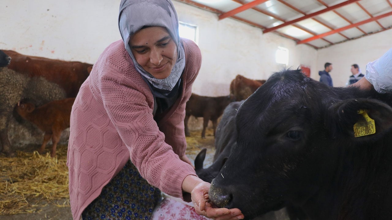 Foto - 5 çocuk annesi kadından başarı hikayesi! Devlet desteğiyle başladı, 5 ayda ikiye katladı