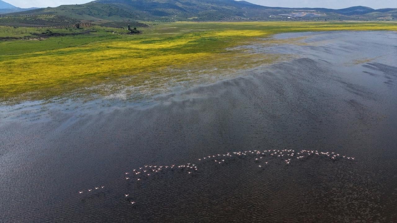 Foto - 5 yıl önce kurumuştu! Yıllar sonra yeniden göçmen kuşları ağırladı