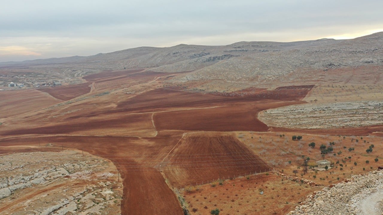 50 bin dekar taşlık araziye ekim yapılacak 