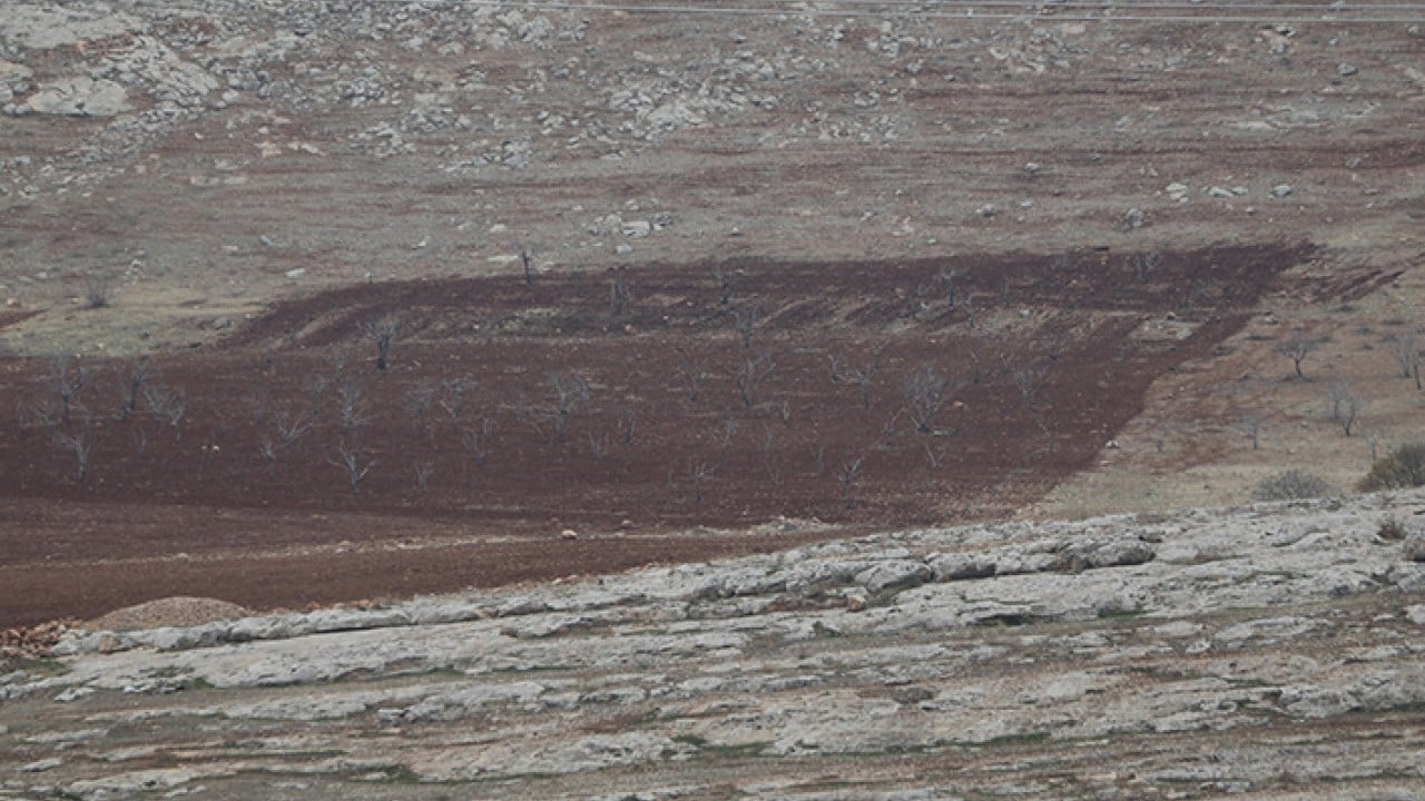 Foto - 50 bin dekar taşlık araziye ekim yapılacak 