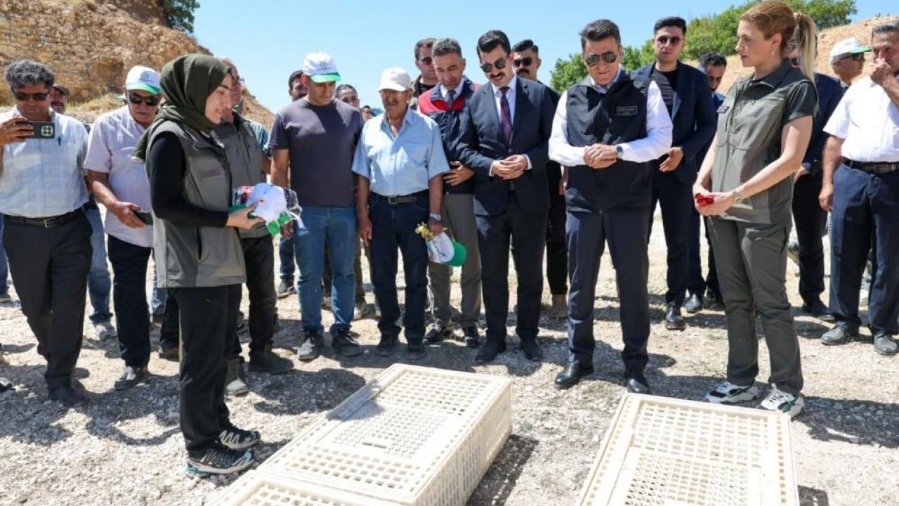 Foto - 500 kınalı keklik doğaya salındı Kene savaşçıları sahaya sürüldü