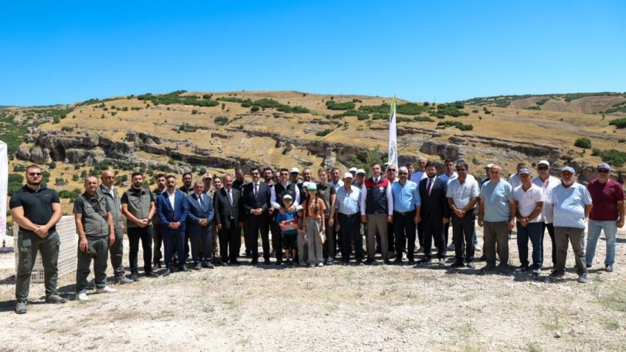 Foto - 500 kınalı keklik doğaya salındı Kene savaşçıları sahaya sürüldü