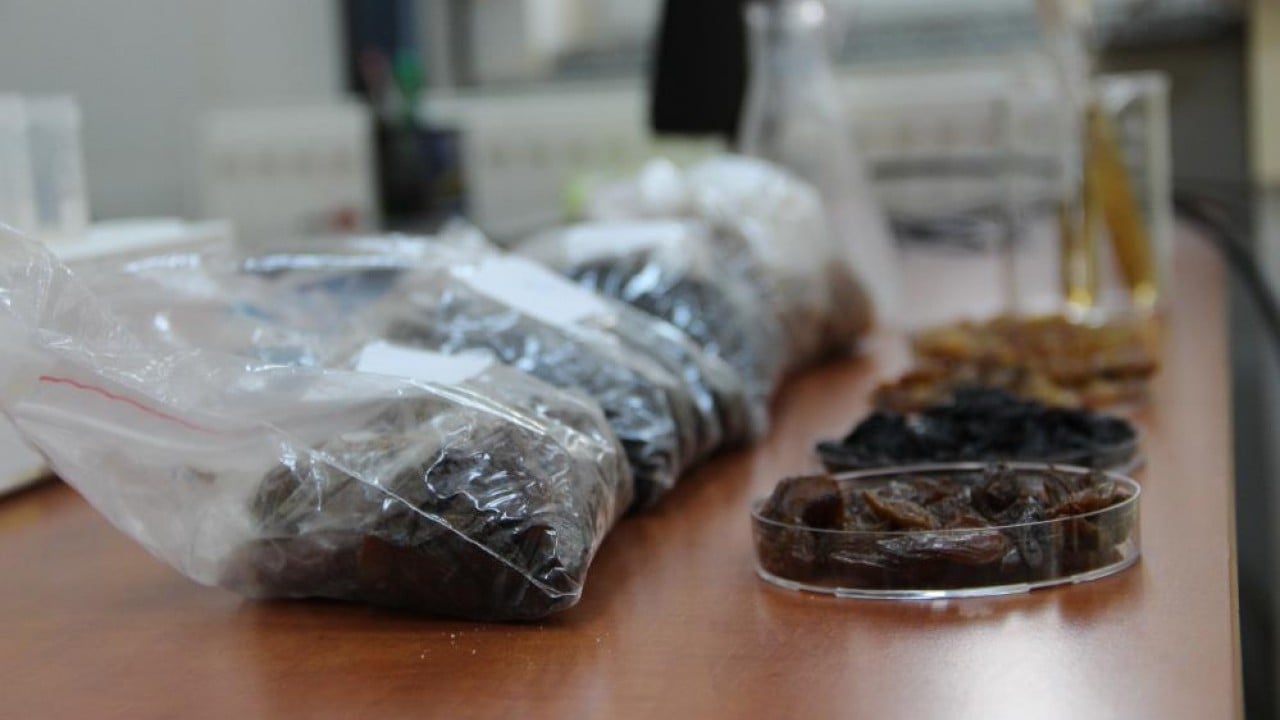 Foto - 500 milyon dolarlık ihracatı tehdit eden risk ortadan kalkacak