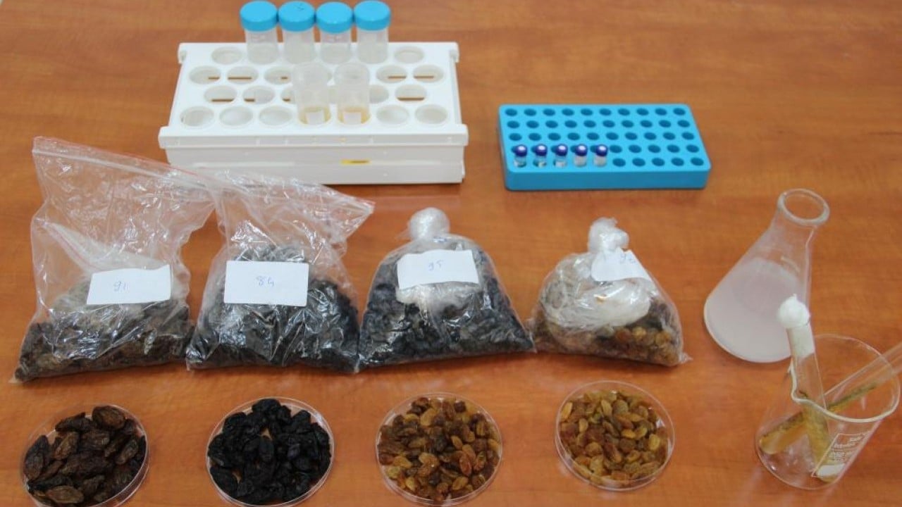 Foto - 500 milyon dolarlık ihracatı tehdit eden risk ortadan kalkacak