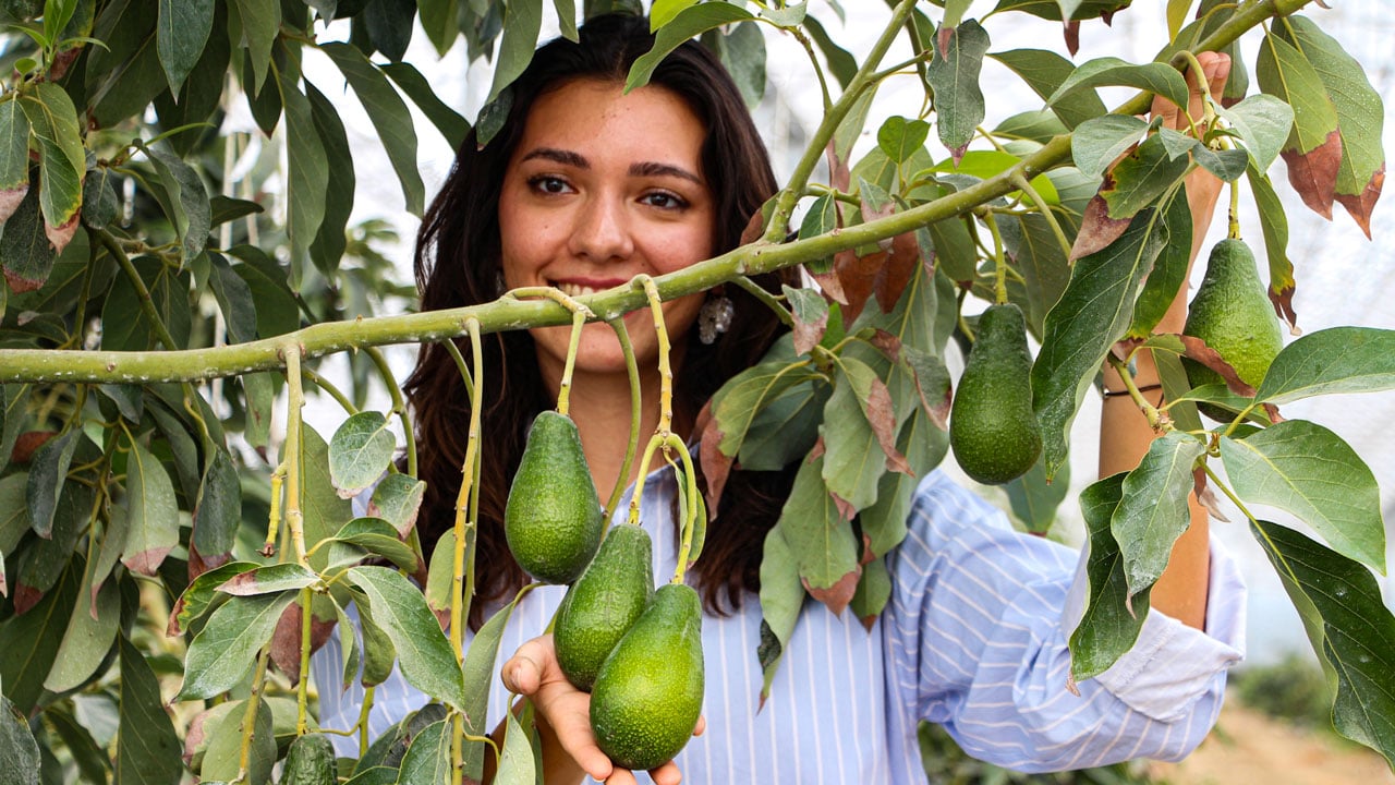 Foto - 5’inci kuşak üretim başladı! Doktorluğu bıraktı, tropik seraya geçti