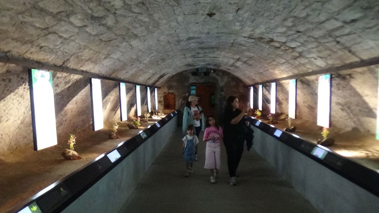 Foto - 6 ayda 60 bin ziyaretçiyi ağırladı! Dünyanın en büyük peynir müzesi Kars’ta