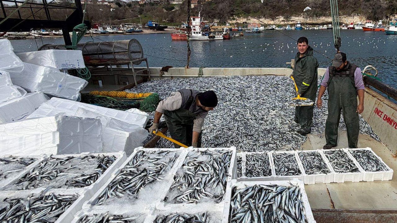 Foto - 6 saatte 30 ton hamsi yakaladı! Ramazan bereketi denize yansıdı