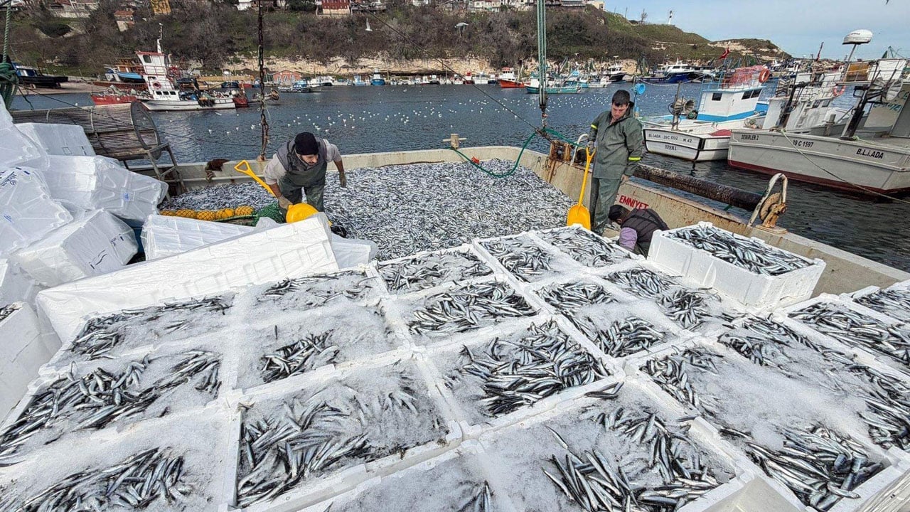 6 saatte 30 ton hamsi yakaladı! Ramazan bereketi denize yansıdı