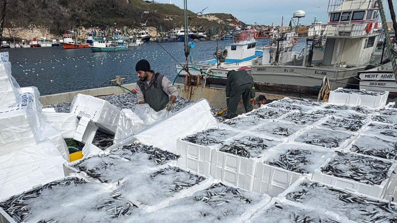 Foto - 6 saatte 30 ton hamsi yakaladı! Ramazan bereketi denize yansıdı