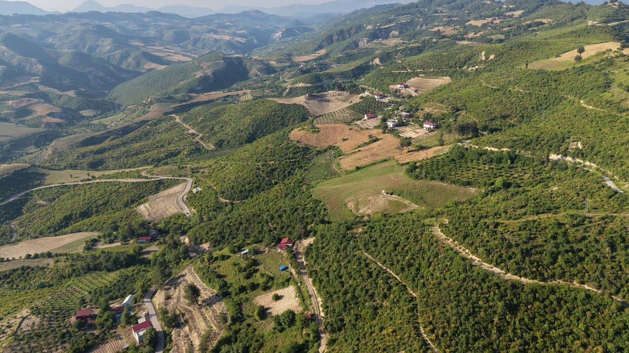 Foto - 6 yıl önce alevlere teslim olmuştu! Kozan ormanları yeniden yeşile döndü
