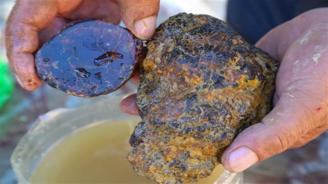 Foto - "60 tondan fazla kehribar rezervi var" deniliyordu! Milyonluk iki büyük maden sahası, sessiz sedasız satıldı