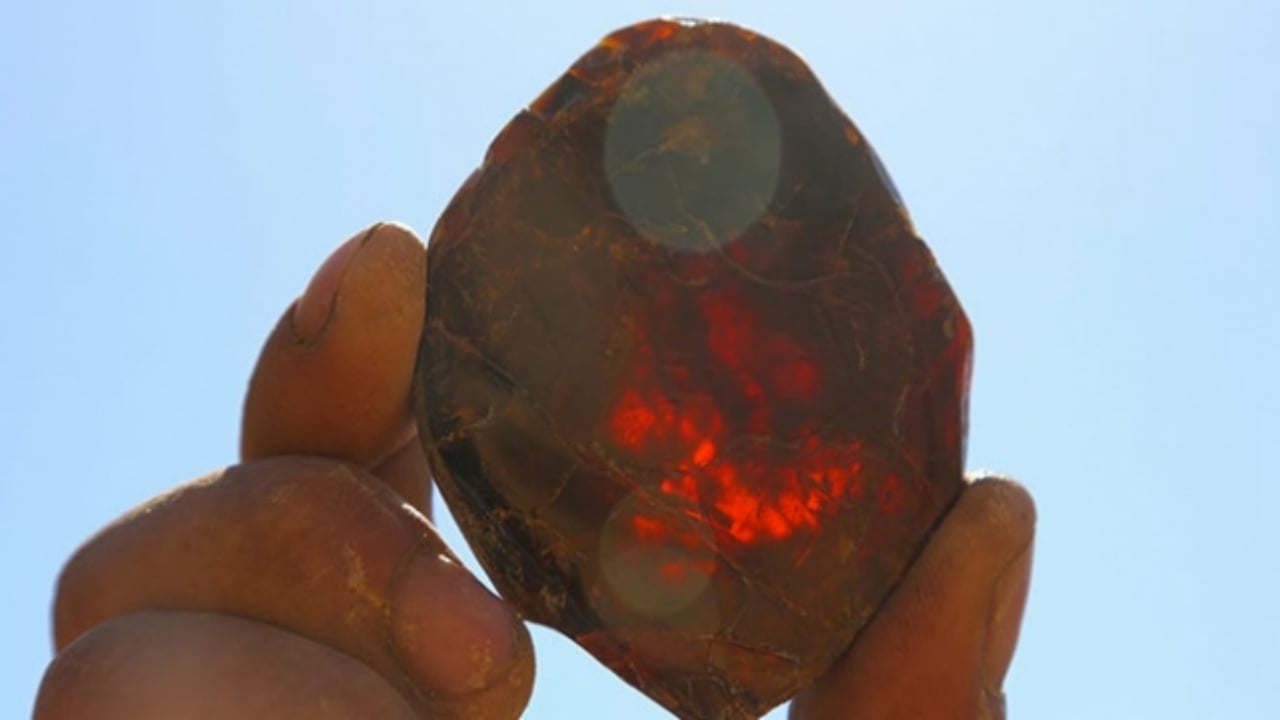 Foto - "60 tondan fazla kehribar rezervi var" deniliyordu! Milyonluk iki büyük maden sahası, sessiz sedasız satıldı