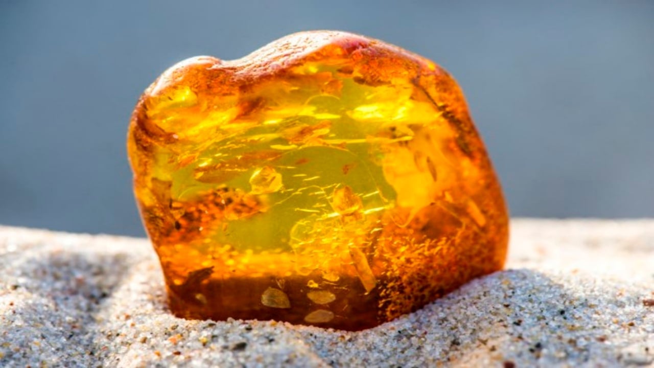 "60 tondan fazla kehribar rezervi var" deniliyordu! Milyonluk iki büyük maden sahası, sessiz sedasız satıldı