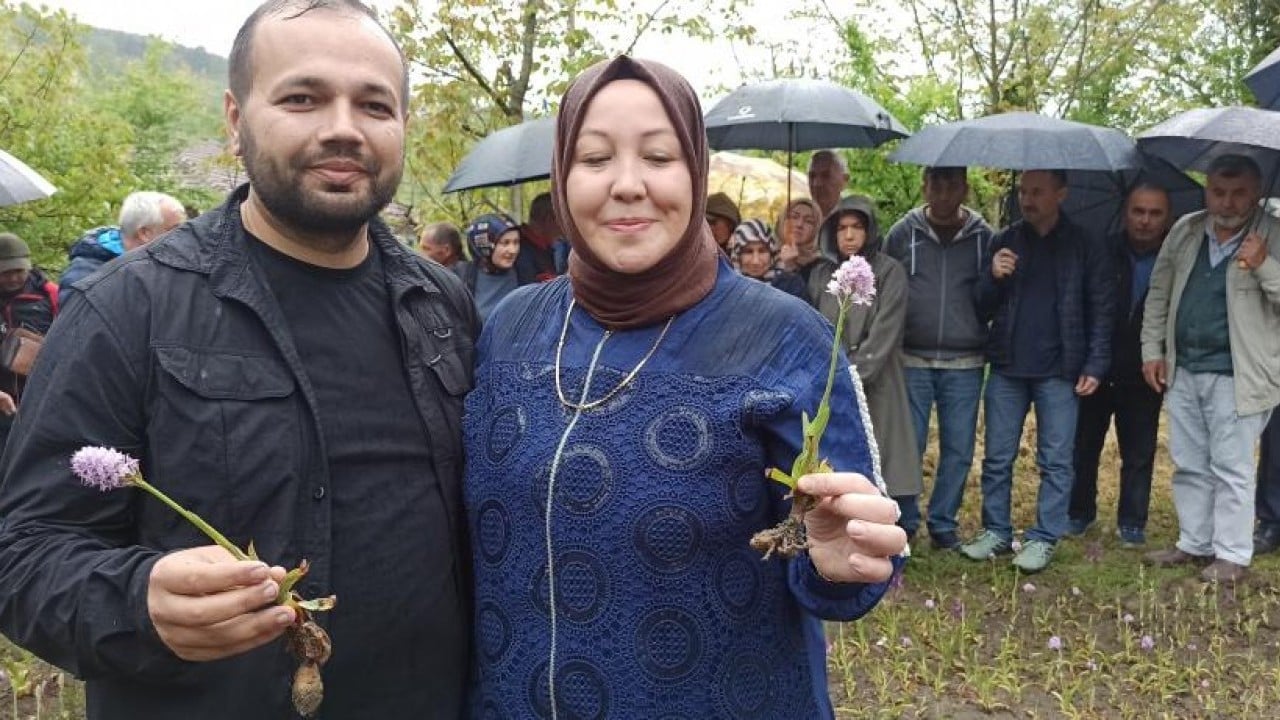 600 kiloluk ilk hasadını yaptı Yürürken buldu 60 bin fideyle üretici oldu