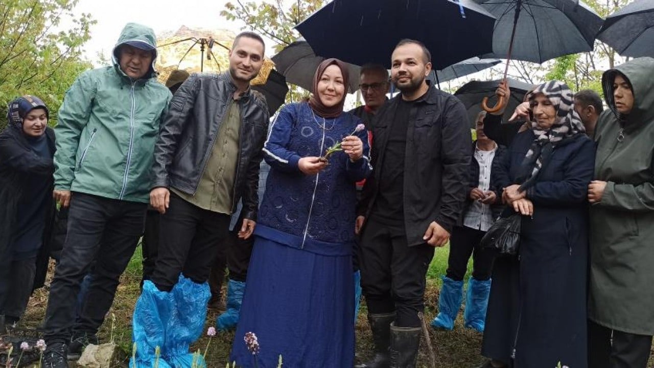 Foto - 600 kiloluk ilk hasadını yaptı Yürürken buldu 60 bin fideyle üretici oldu