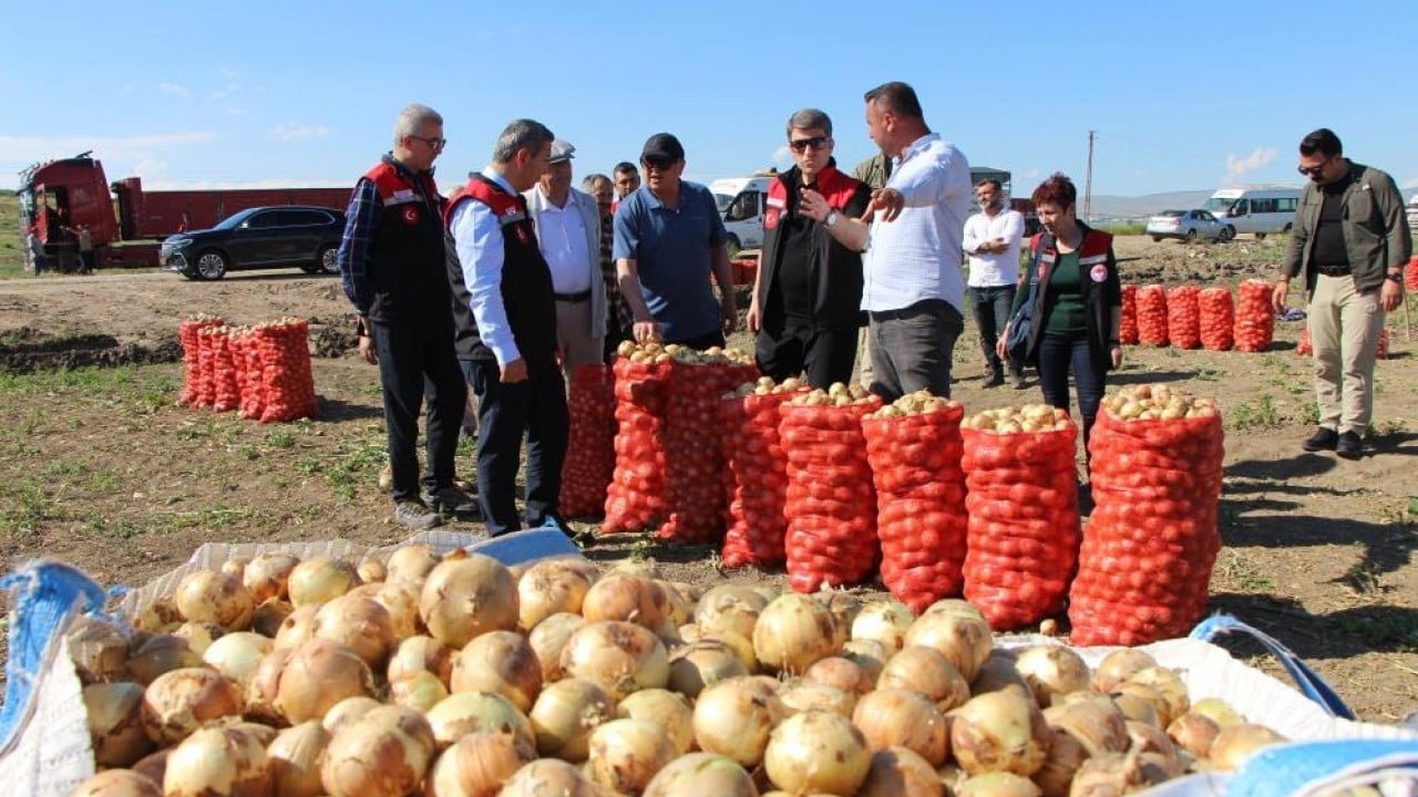 Foto - 65 bin dekardan ürün alındı Soğanın kaynağında hasat başladı