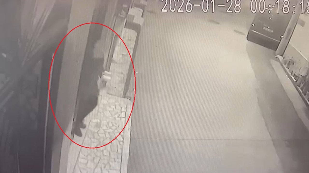 Foto - 68 yaşında cezaevine gönderildi! Böyle vahşet görülmedi eşini öldürüp 15 parçaya böldü