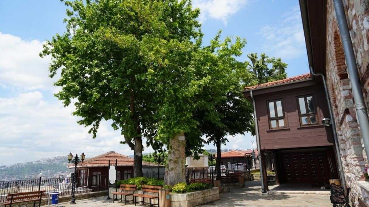 694 yıllık caminin sembol çınarı 6 asırdır hiçbir şey onu yıkamadı
